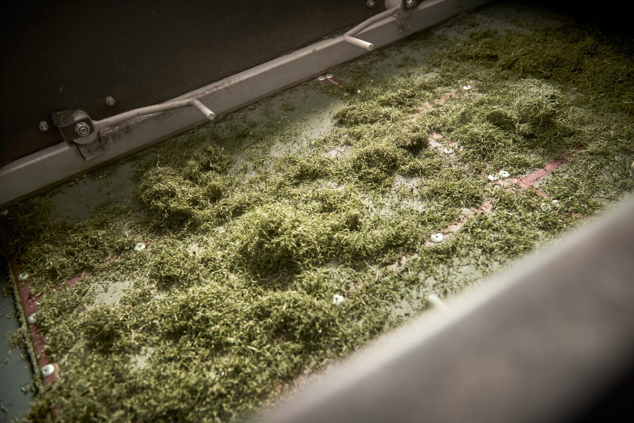 راهکارهای اقتصاد دایره‌ای برای بهینه‌سازی مدیریت پسماند