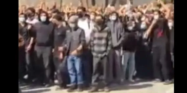 دانشگاه تهران