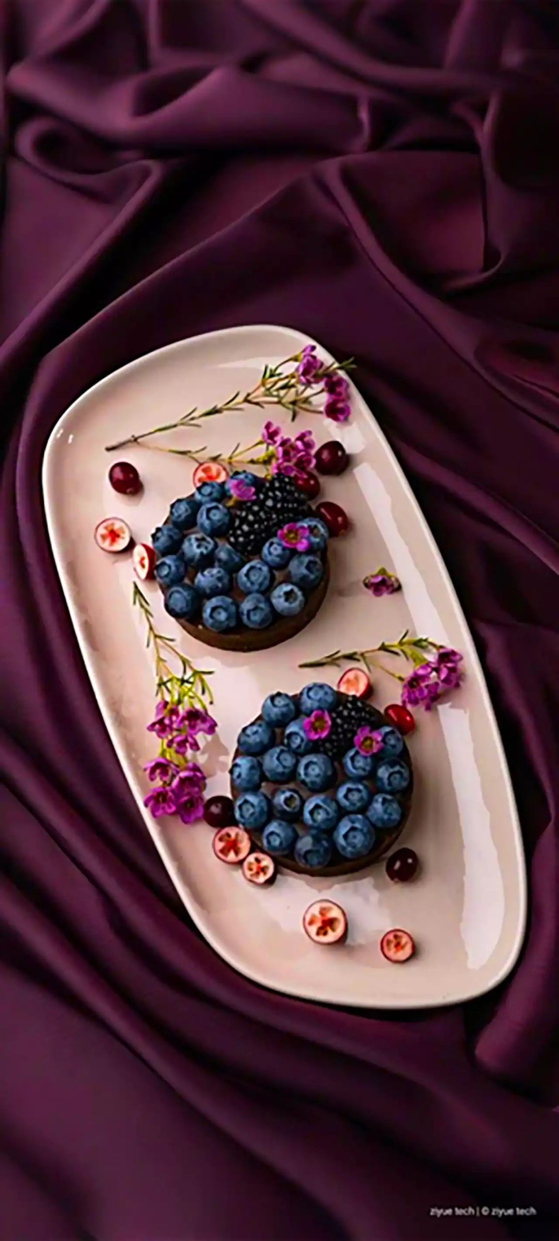 دسر با دیزاین بلوبری