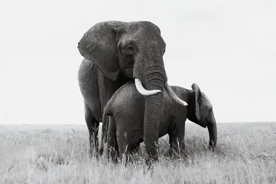  عکس‌های مردم‌شناسانه از سراسر جهان+آثار