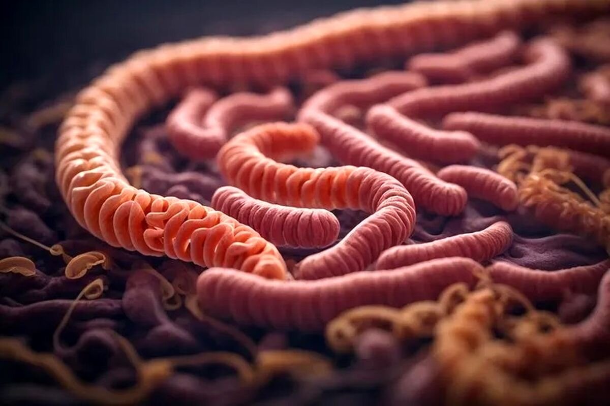 ۱۲ علامت که خبر از وجود انگل‌ها در بدن‌تان می‌دهد! چه کار کنیم؟