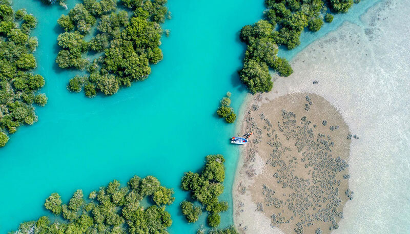 جنگل های حرای قشم